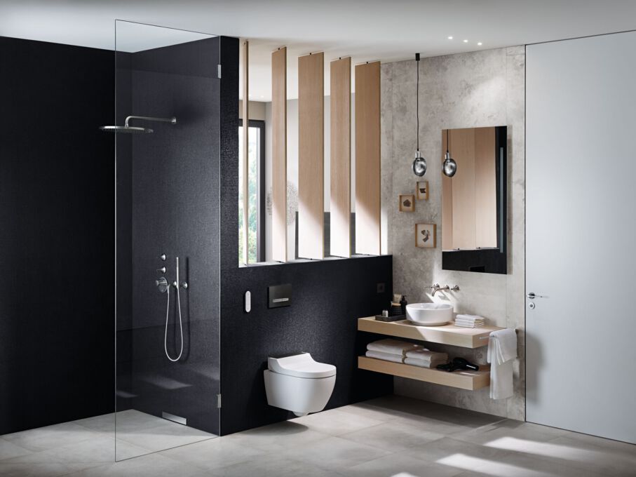 2018 Bathroom02 A Vari Form Washbasin Aqua Clean Tuma Comfort Hotel geberit dam media large